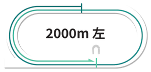 川崎競馬場2000m完全攻略ガイド【2025年最新版】長距離戦