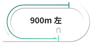 川崎競馬場900m完全攻略ガイド【2025年最新版】超短距離戦