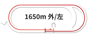 大井競馬場1650m完全攻略ガイド【2025年最新版】左回り特殊コース