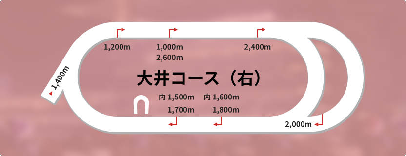 大井競馬場右回りコースレイアウト - 486mの長い直線が特徴的なトラック図