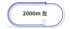 浦和競馬場2000m完全攻略ガイド【2025年最新版】長距離戦